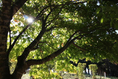 2012_10270016.JPG