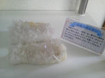 NEC_0206.JPG