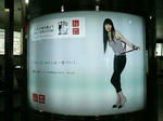 P1000347.jpg
