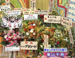 201002231.jpg