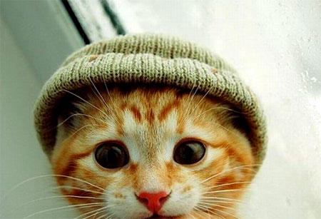 http://blog.cnobi.jp/v1/blog/user/7170818ba3679a9c8a30a9deff30364e/1323401421