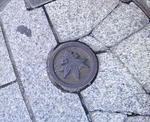 200904261636000.jpg