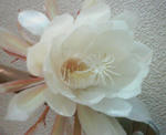 200906282125000.jpg