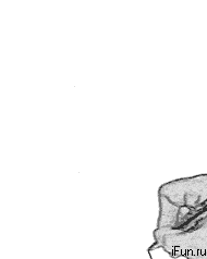 絵日記