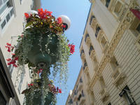 1512281262_240.jpg