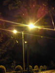 SBCA0585.JPG