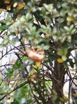 IMG_3969.JPG