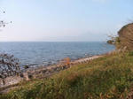 IMG_4076.JPG