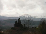 IMG_4240.JPG