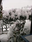 IMG_4265.JPG