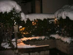 IMG_4271.JPG
