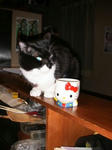IMG_4279.JPG
