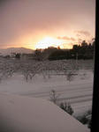 IMG_4320.JPG