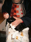 IMG_4355.JPG