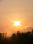 IMG_4381.JPG
