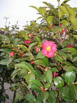 IMG_4456.JPG