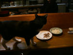 IMG_4483.JPG