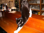 IMG_4543.JPG
