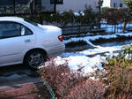 IMG_4565.JPG