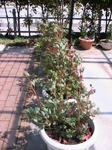 269e0116.JPG