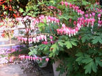 IMG_4711.JPG