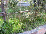 IMG_4701.JPG