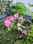 IMG_4718.JPG