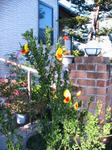 IMG_4751.JPG