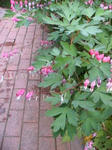 IMG_4756.JPG