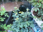IMG_4757.JPG