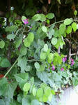 IMG_4797.JPG