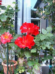 IMG_4843.JPG