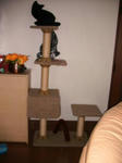 IMG_4932.JPG