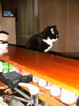 IMG_4985.JPG