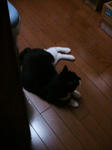 IMG_5032.JPG