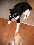 IMG_5142.JPG