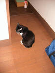 IMG_5190.JPG