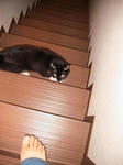 IMG_5191.JPG