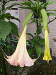 IMG_5320.JPG