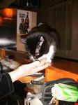 IMG_5339.JPG