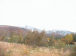 IMG_5352.JPG