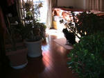 IMG_5399.JPG