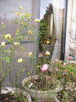 IMG_5413.JPG