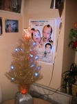 IMG_5441.JPG