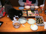 IMG_5543.JPG