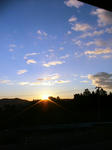 IMG_5559.JPG