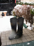 IMG_5589.JPG