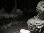 IMG_5594.JPG