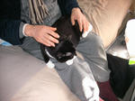 IMG_5643.JPG