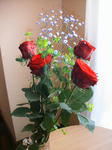 IMG_5703.JPG